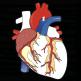 تحميل تطبيق Anatomy Puzzles للايفون