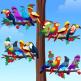 تحميل تطبيق Bird Sort - Color Puzzle للايفون