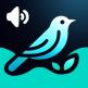 تحميل تطبيق Bird Sounds للايفون