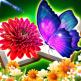 تحميل تطبيق Blossom Match للايفون