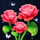 تحميل تطبيق Blossom Sort للايفون