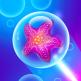 تحميل تطبيق Bubble Paradise للايفون
