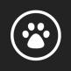 تحميل تطبيق ChatGoPet للايفون