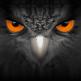 تحميل تطبيق EagleEyes للايفون