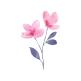 تحميل تطبيق Floret للايفون