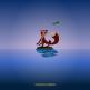 تحميل تطبيق FoxEatsChicks للايفون