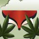 تحميل تطبيق GrassFox للايفون