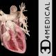 تحميل تطبيق Heart Pro III - iPhone Edition للايفون