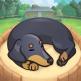 تحميل تطبيق Old Friends للايفون