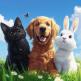 تحميل تطبيق PetWorld للايفون