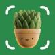 تحميل تطبيق Plant Care 360 للايفون