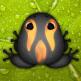 تحميل تطبيق Pocket Frogs للايفون
