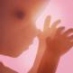 تحميل تطبيق Pregnancy للايفون