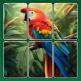 تحميل تطبيق Swappy: Jigsaw Puzzles للايفون