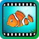 تحميل تطبيق VideoTouch-SeaLife للايفون