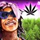 تحميل تطبيق Weed Farm للايفون