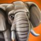 تحميل تطبيق Wildlife Free للايفون