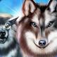 تحميل تطبيق Wolf Evolution للايفون